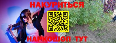 молекула духа Будённовск