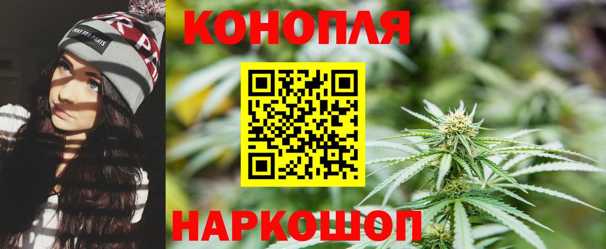 Бошки Шишки тримм Майкоп